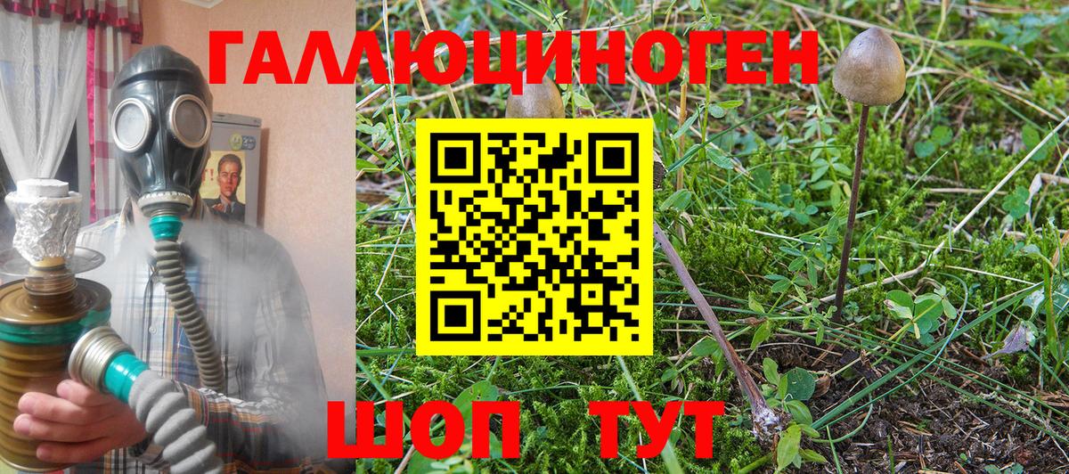 Псилоцибиновые грибы Psilocybe Шали