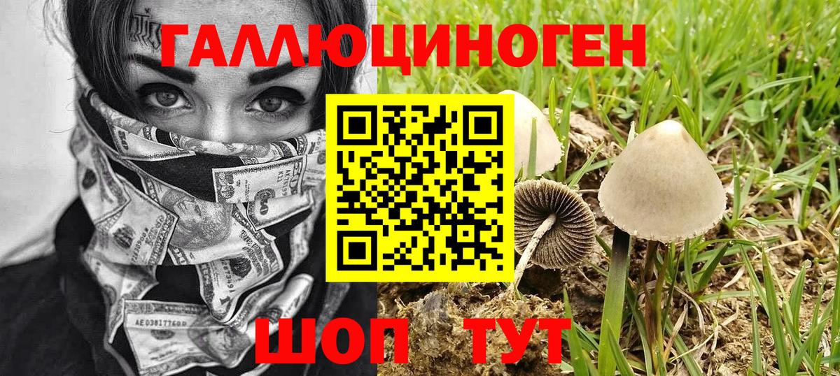 Галлюциногенные грибы прущие грибы  Псилоцибиновые грибы мицелий  Вход с VPN  Шали 